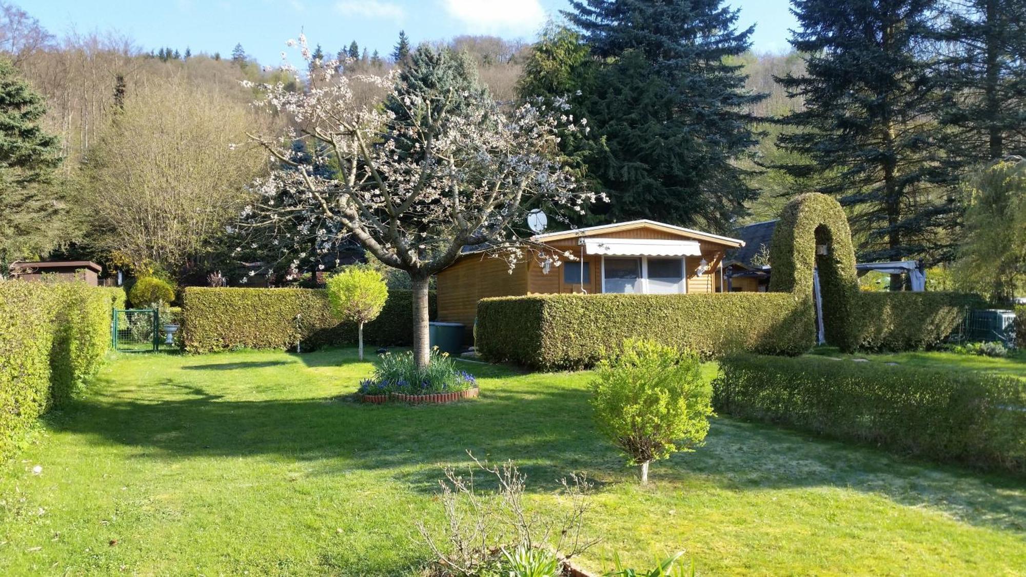 Villa Poolhaus Im Suedharz à Harztor Extérieur photo